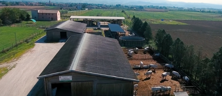 Azienda Zootecnica didattica