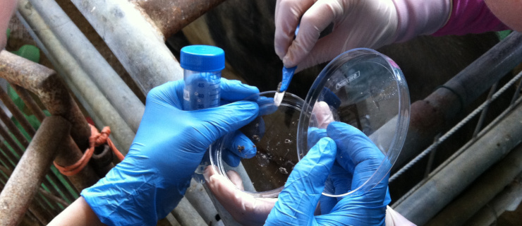 Azienda Zootecnica Didattica