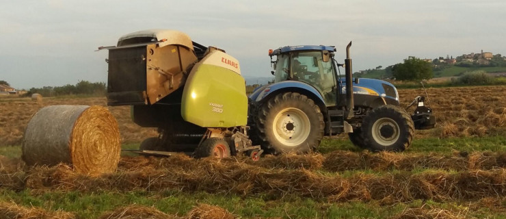 Azienda Zootecnica Didattica