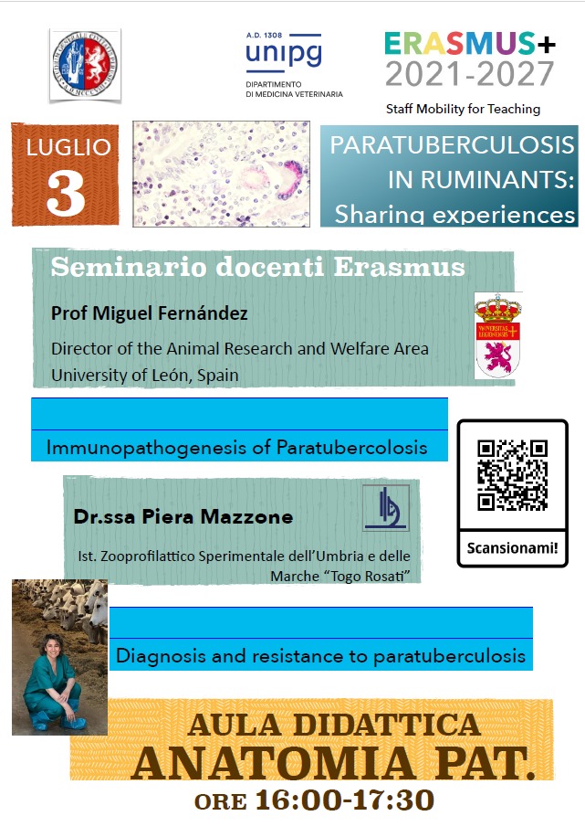 seminario docenti erasmus