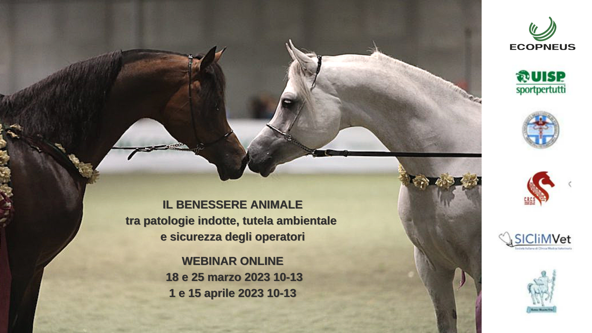 banner per sito univeristario