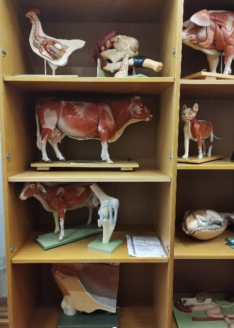 screenshot 2025 06 30 alle 09.28.46